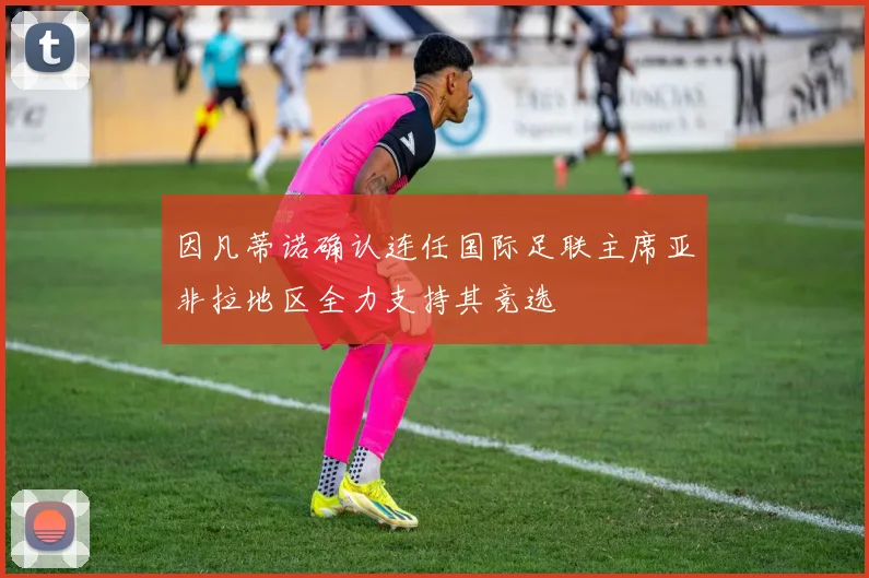 因凡蒂诺确认连任国际足联主席亚非拉地区全力支持其竞选